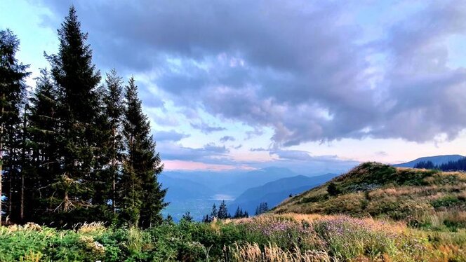 Blick über den Pinzgau im Frühling. Der Ausblick über das Tal in die Ferne während links einige Nadelbäume zu sehen sind und farbige Wolkenspiele am Himmel zu sehen sind.