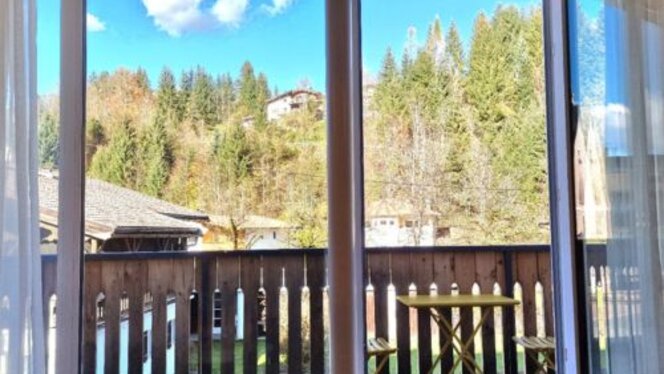 Blick aus dem Fenster auf die Bäume.