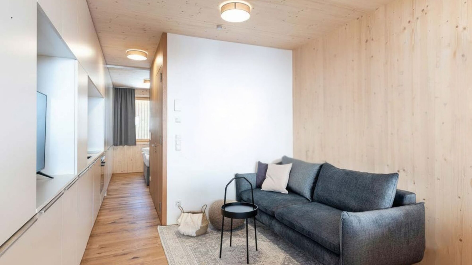 Wohnzimmer einer Zweiraumwohnung mit grauem Sofa und Holzwänden in Feldkirch-Tosters