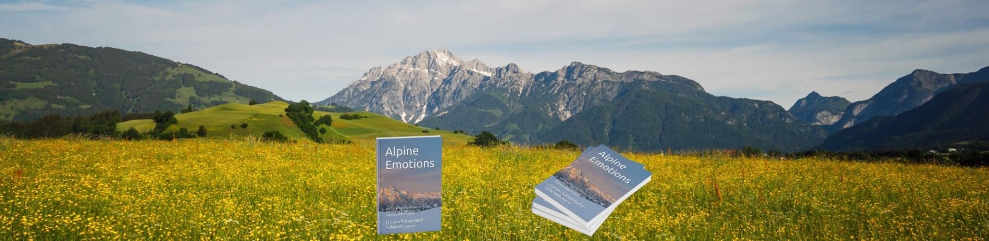 Alpine Emotions buy to let Buch