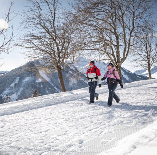 Wanderer im Winter in Viehhofen