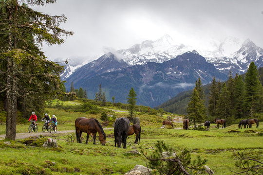 Mountainbiker und Pferde bei Zell am See