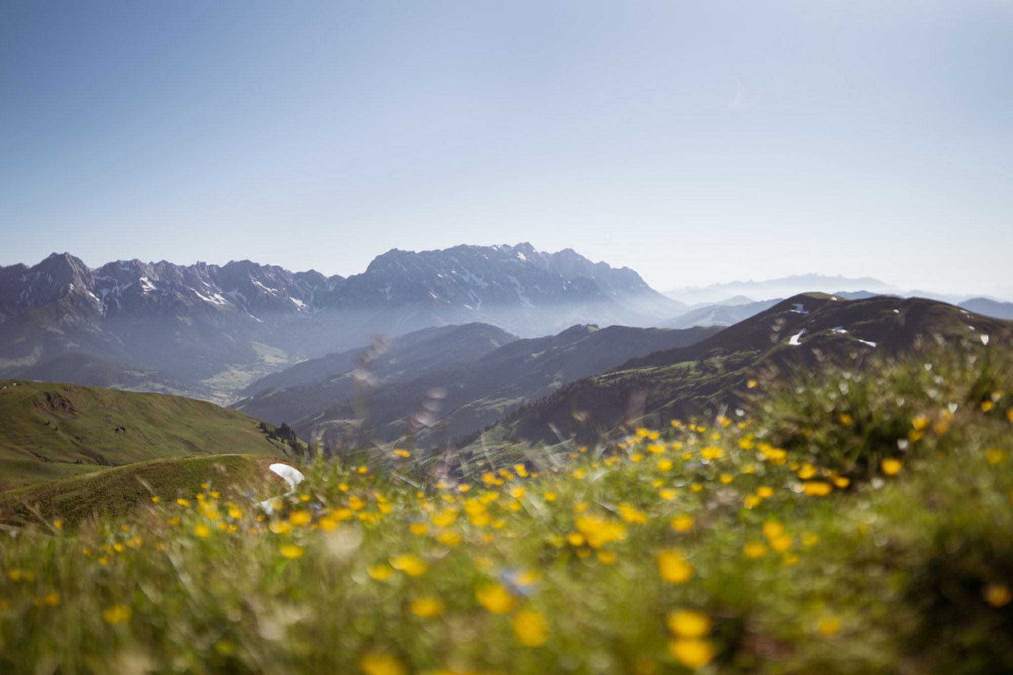 Hundstein Salzburger Land am Morgen 